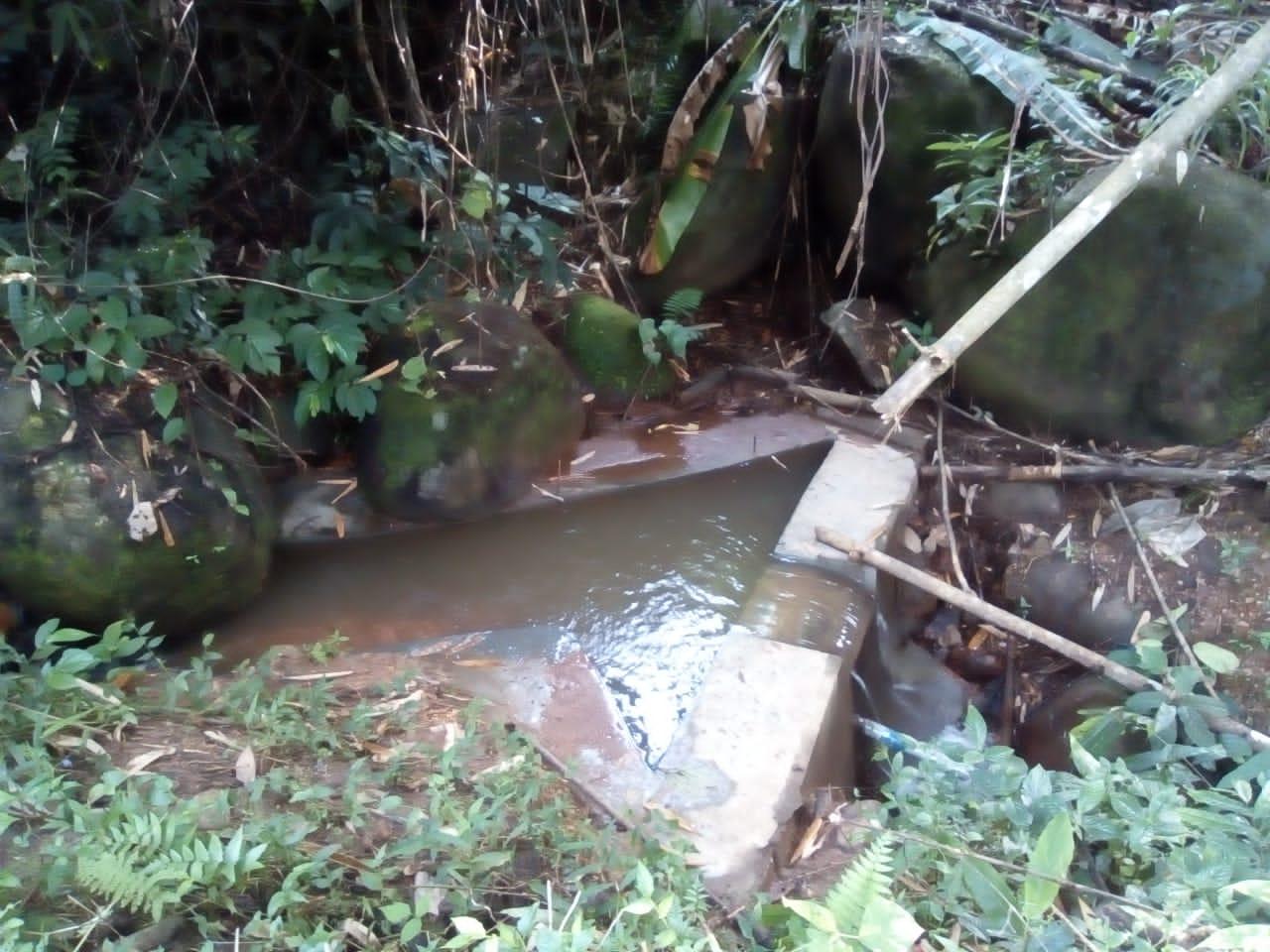 C:\Users\Lavinia Pde\Pictures\Camera Roll\IMG-20220713-WA0037.jpg